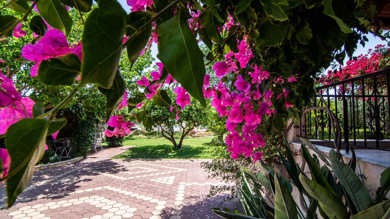Photo of Outdoor in Nafplio