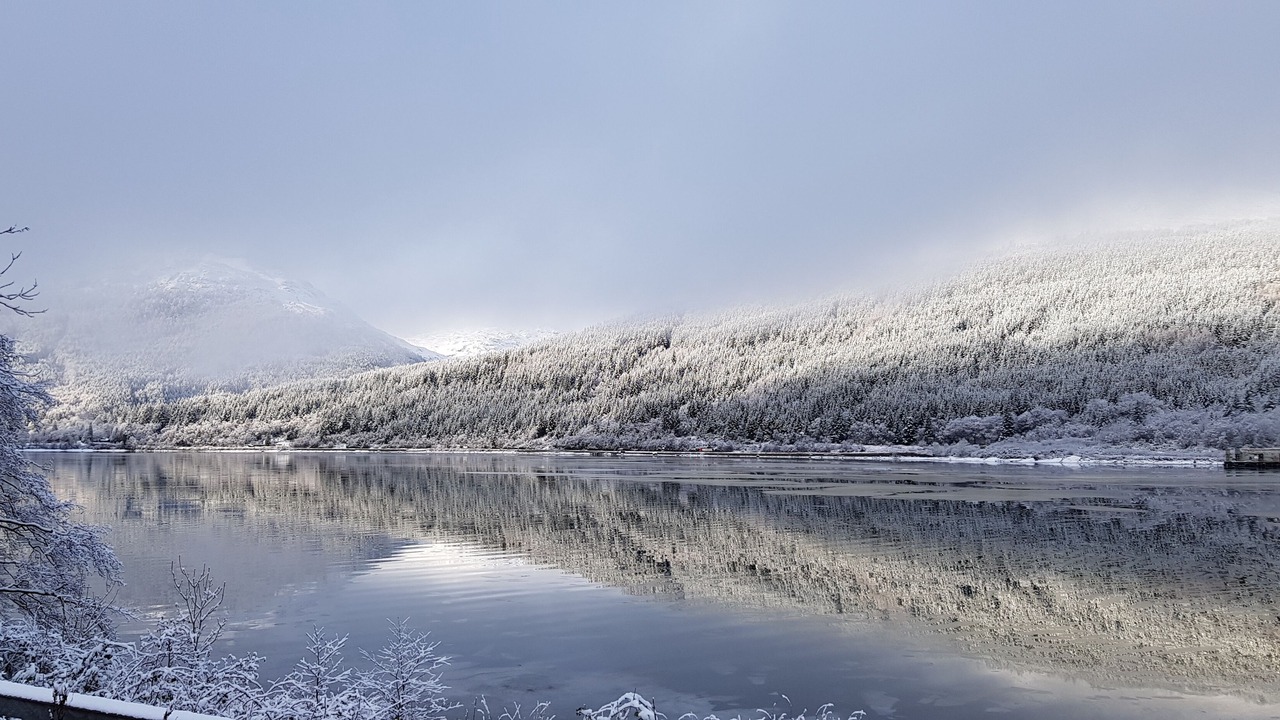 Photo of Others in Arrochar
