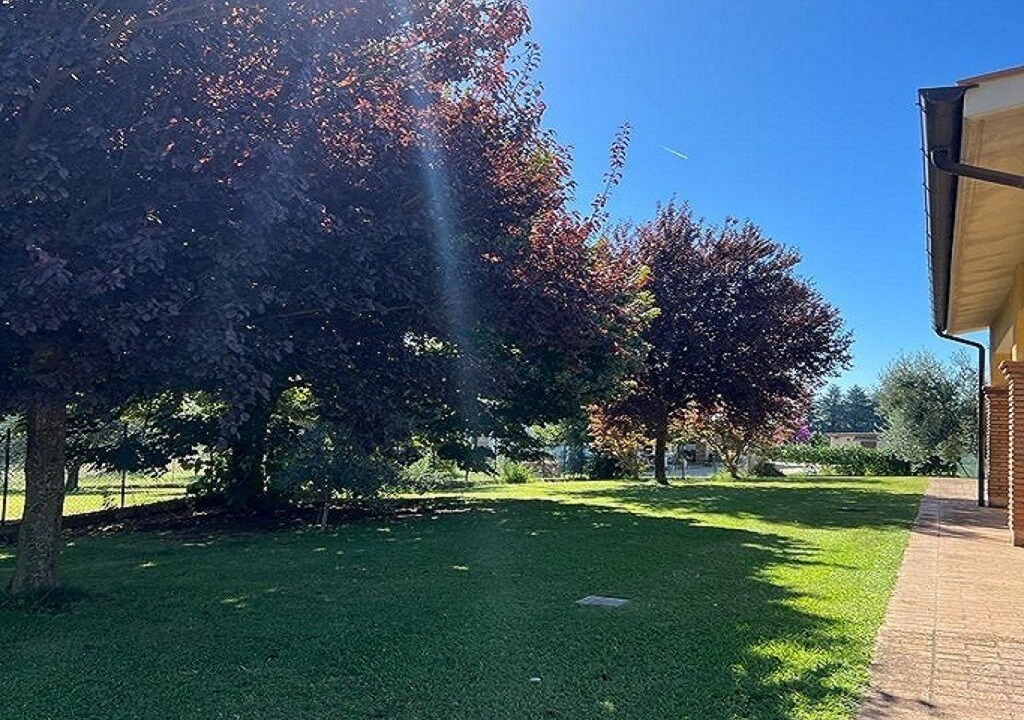 Photo of Outdoor in Padua