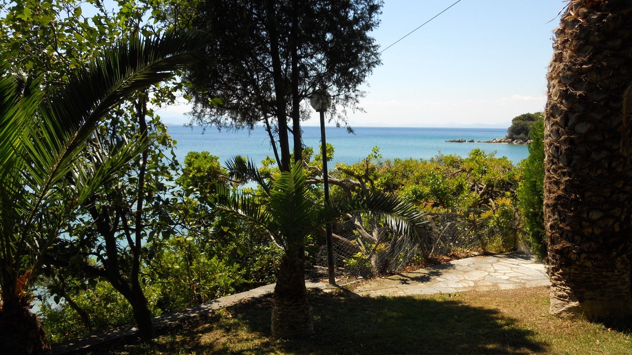 Photo of Outdoor in Horto