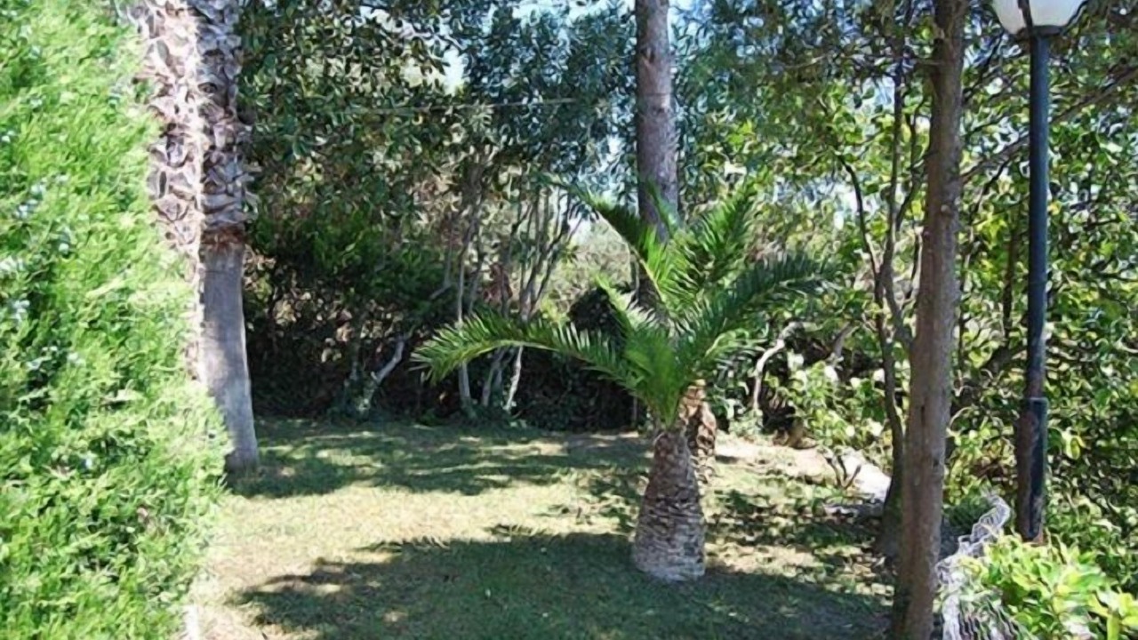 Photo of Outdoor in Horto