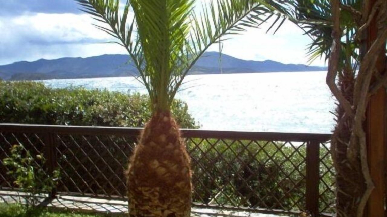 Photo of Outdoor in Horto