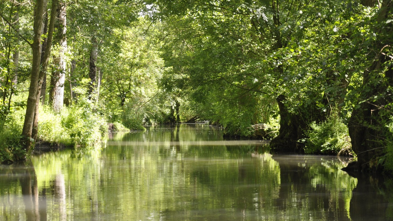 Photo of Outdoor in Liez