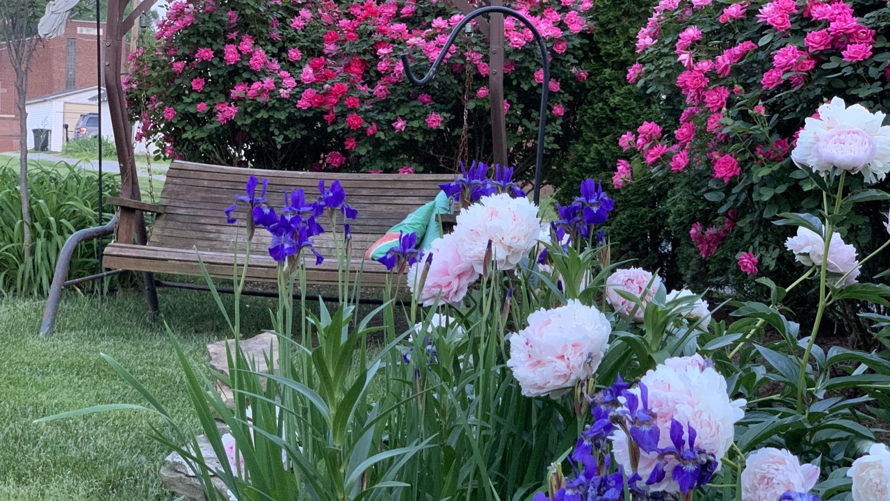 Photo of Outdoor in Harrisburg
