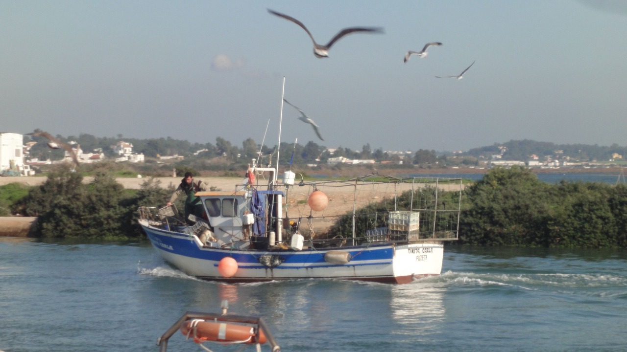 Photo of Outdoor in Fuseta