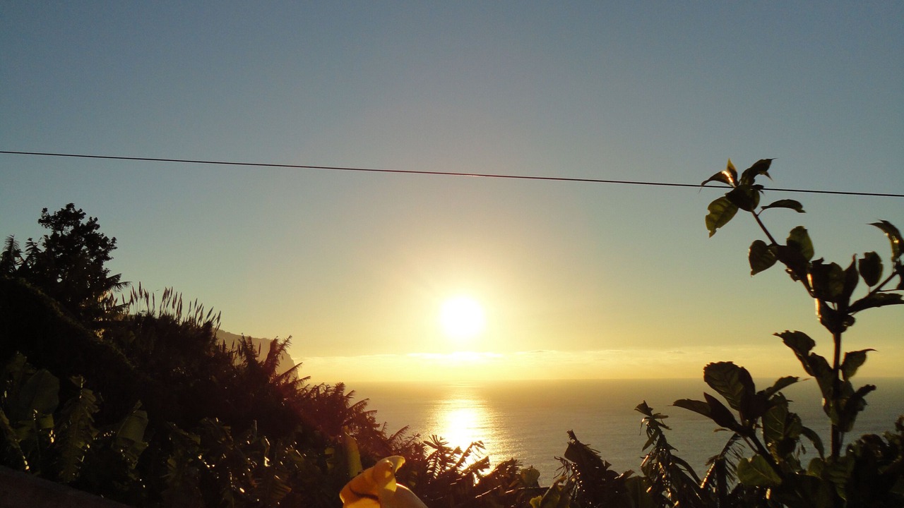 Photo of Others in Ponta do Sol