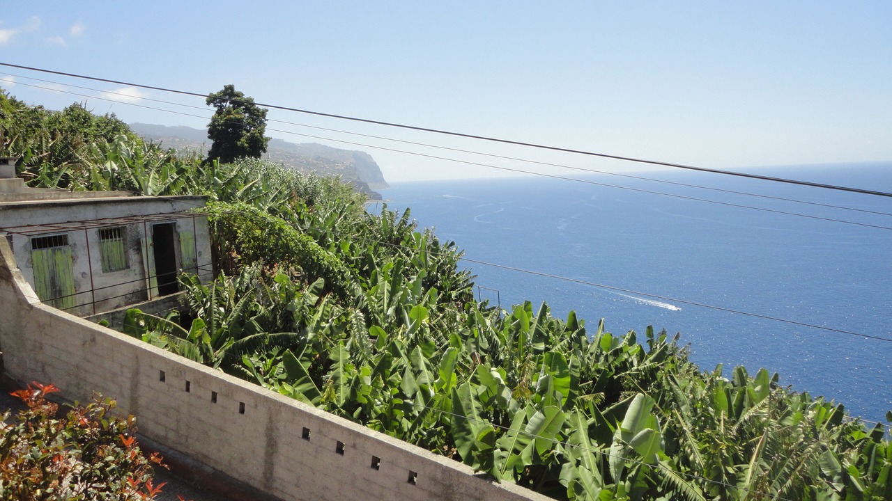 Photo of Outdoor in Ponta do Sol
