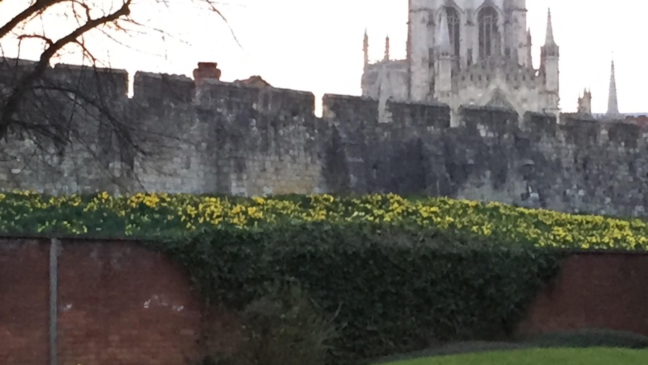 Photo of Outdoor in York