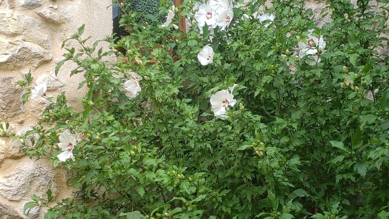 Photo of Outdoor in Camps-sur-l'Agly
