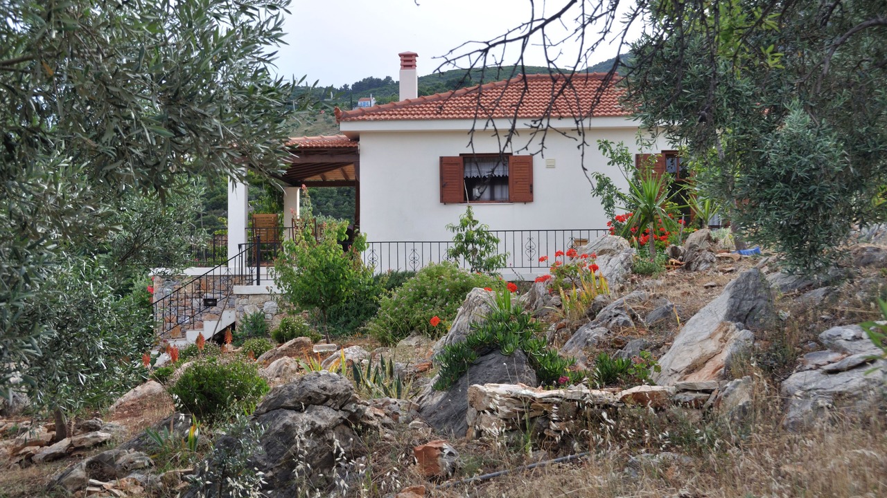 Photo of Others in Nimfea