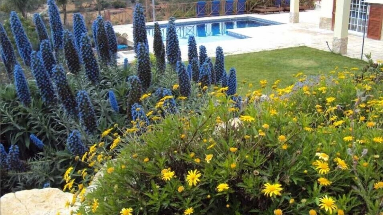 Photo of Outdoor in Murta