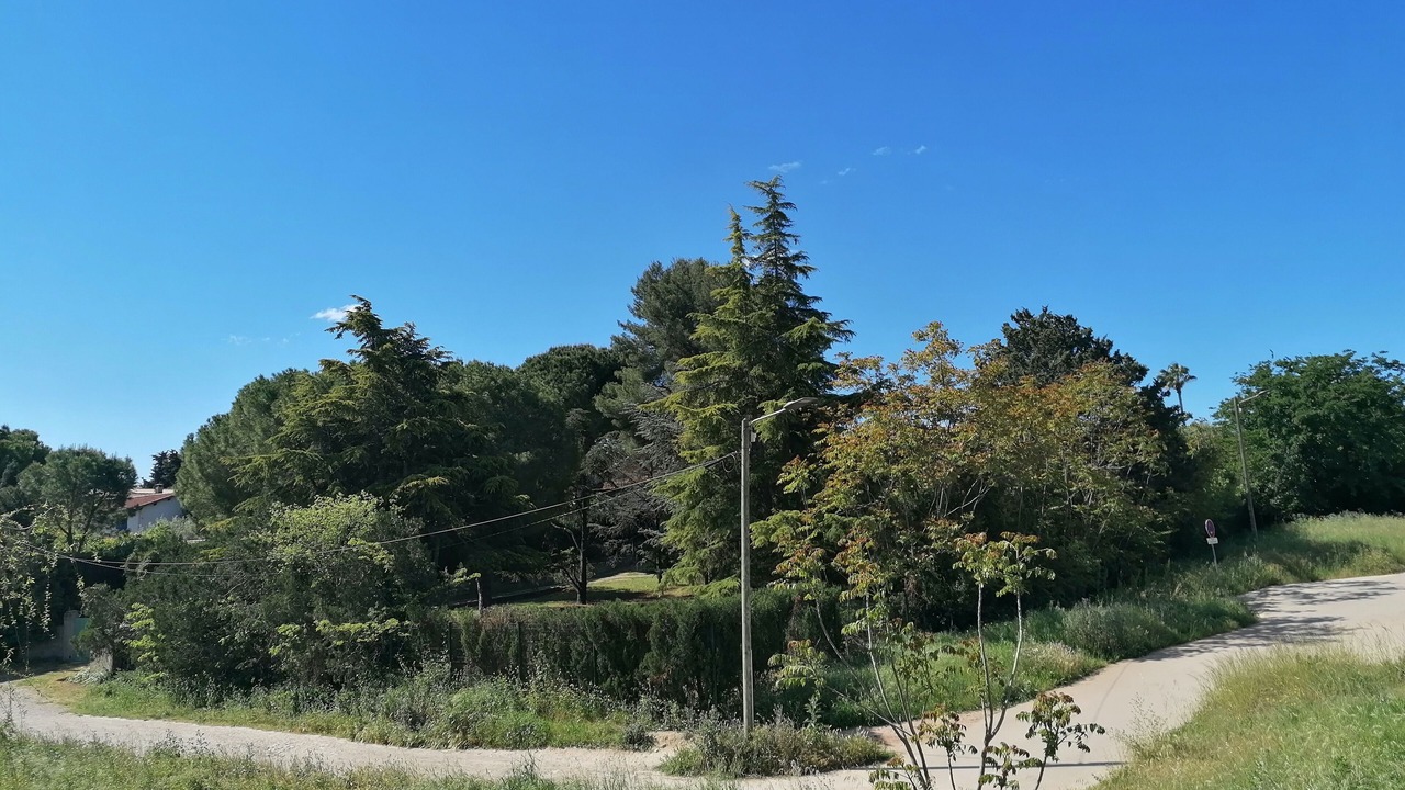 Photo of Outdoor in Aiguerelles