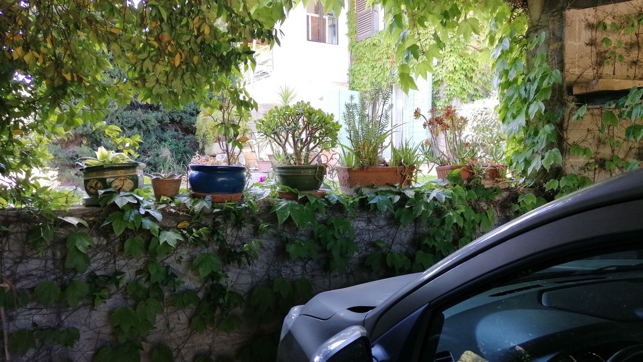 Photo of Outdoor in Aiguerelles