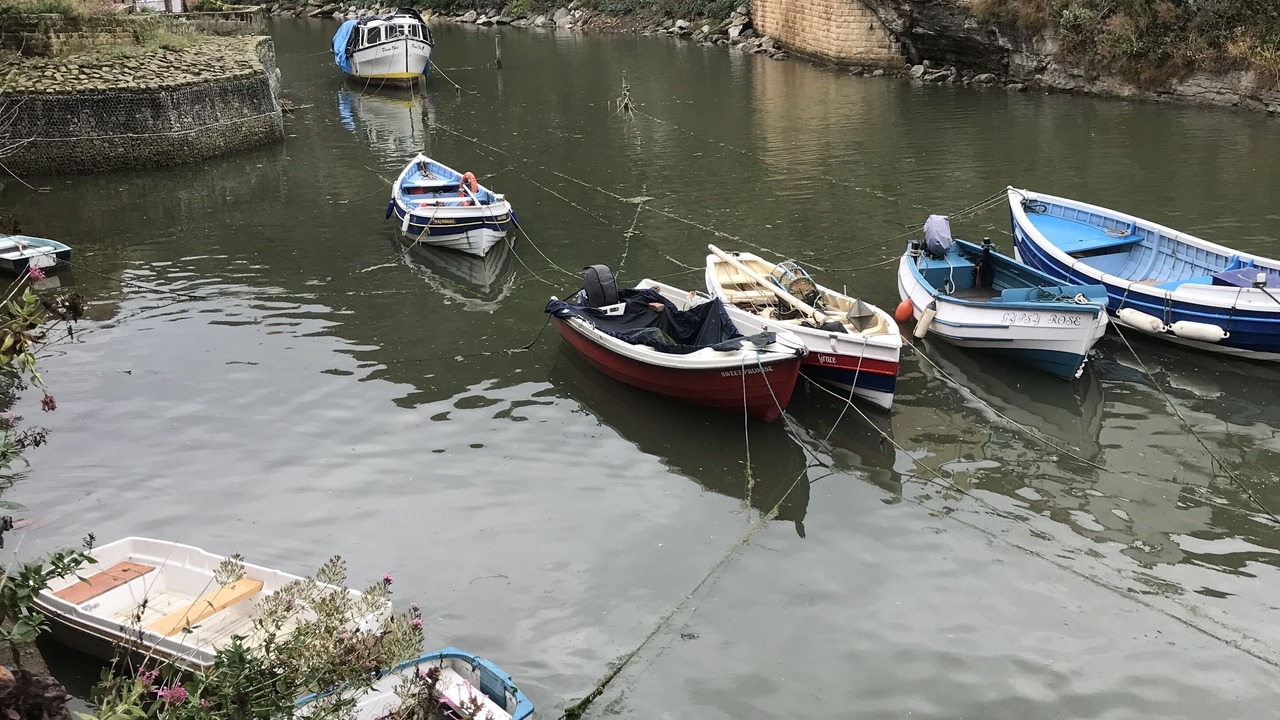 Photo of Others in Staithes