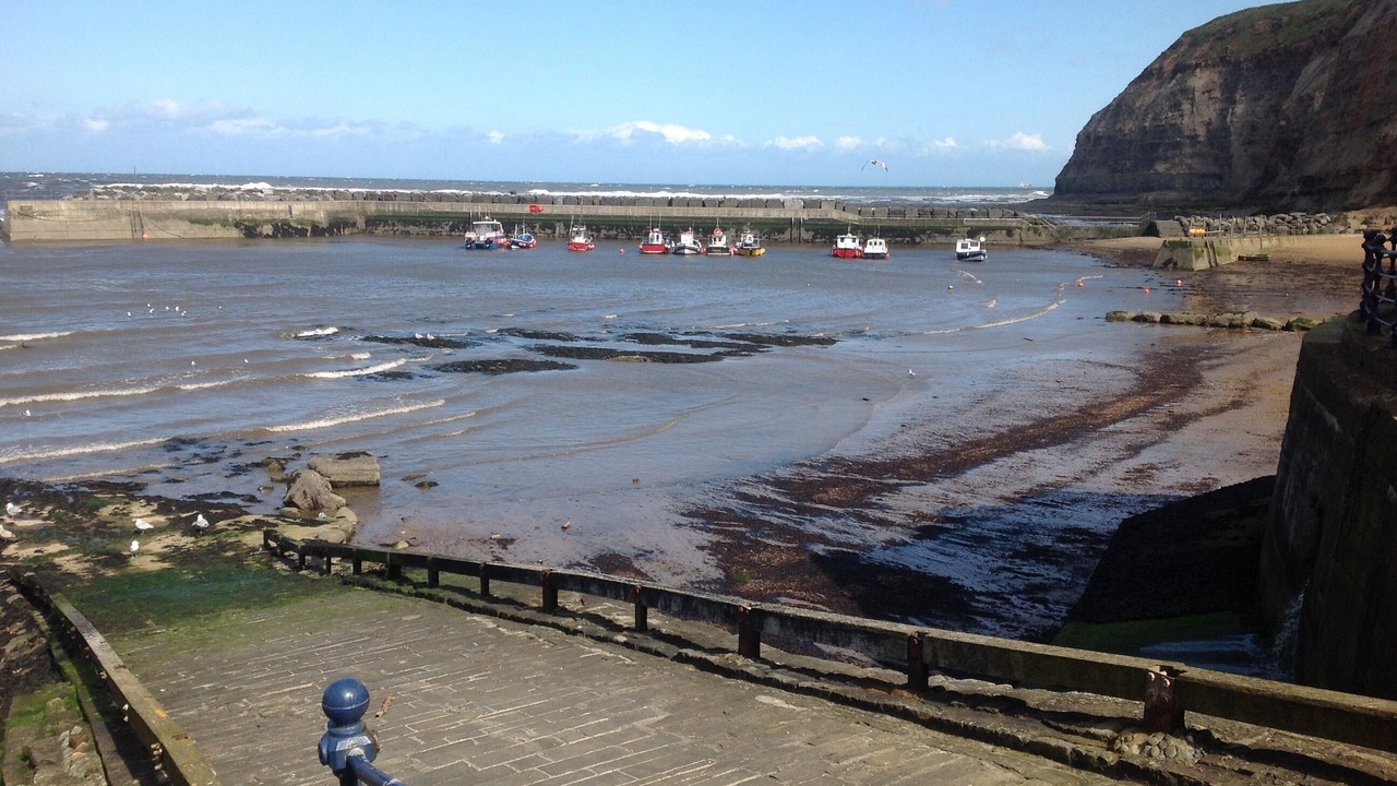Photo of Others in Staithes