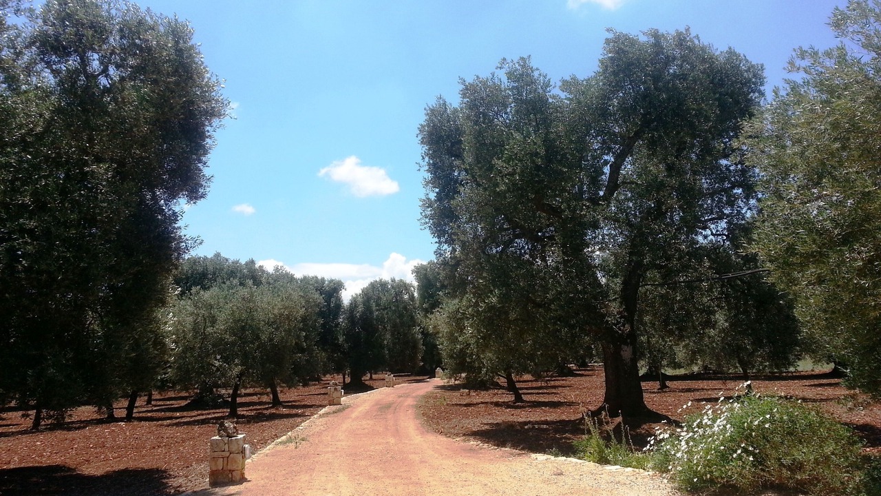 Photo of Outdoor in Ceglie Messapica