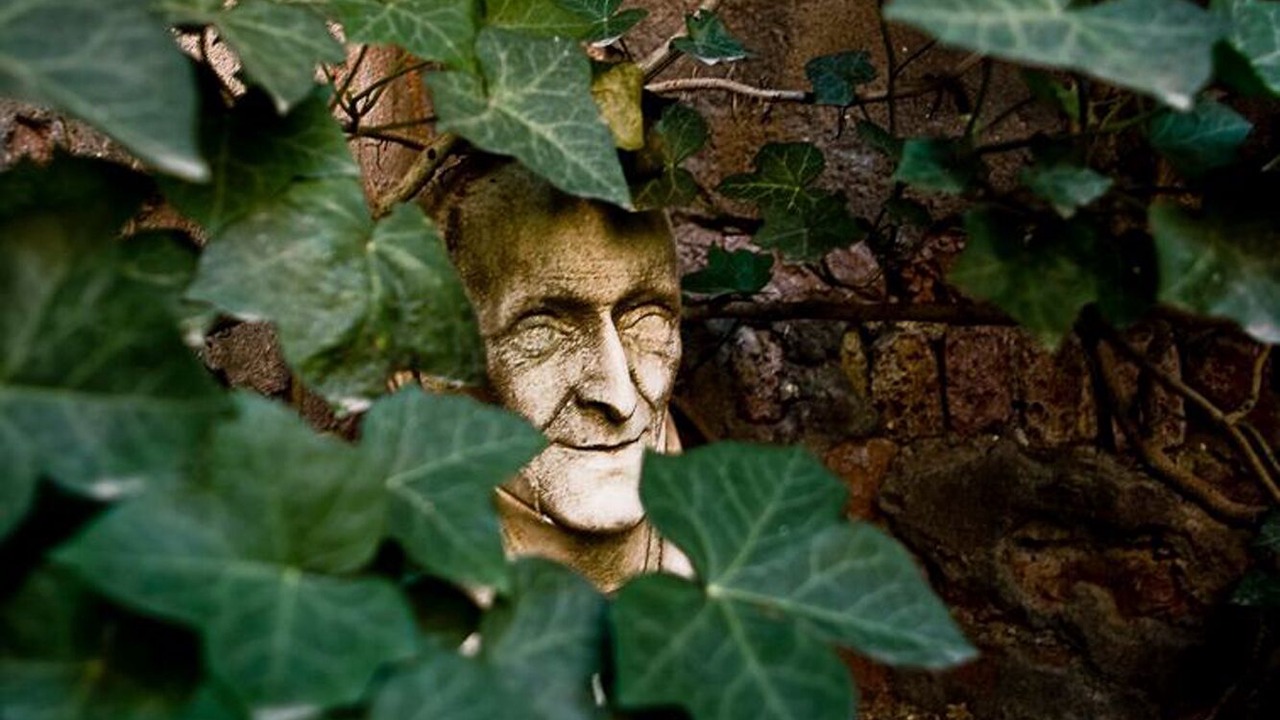 Photo of Outdoor in Castello