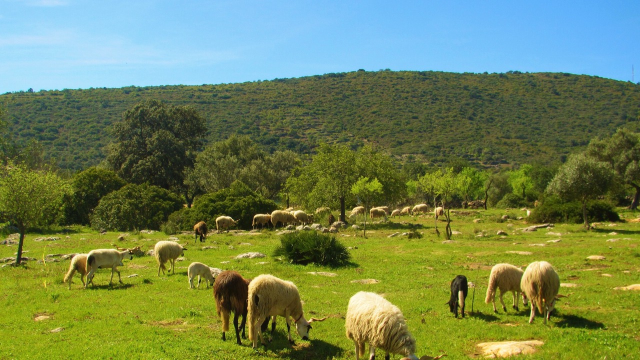 Photo of Outdoor in Moncarapacho e Fuseta