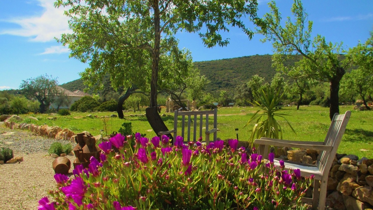 Photo of Outdoor in Moncarapacho e Fuseta