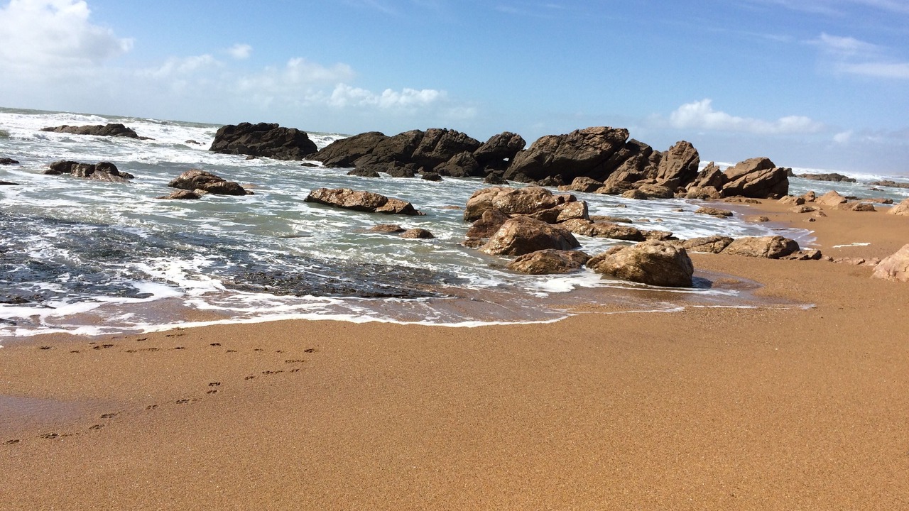 Photo of Others in Olonne-sur-Mer