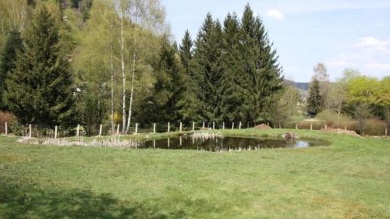 Photo of Others in Le Thillot