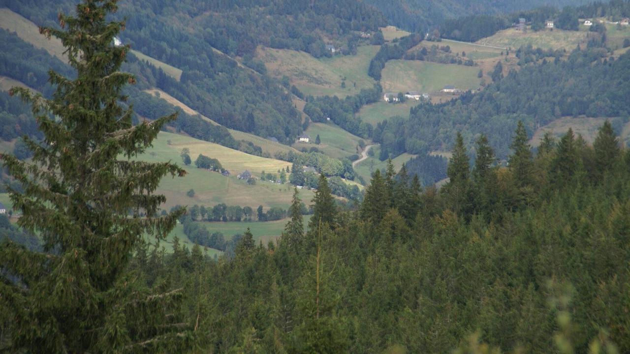 Photo of Others in Travexin