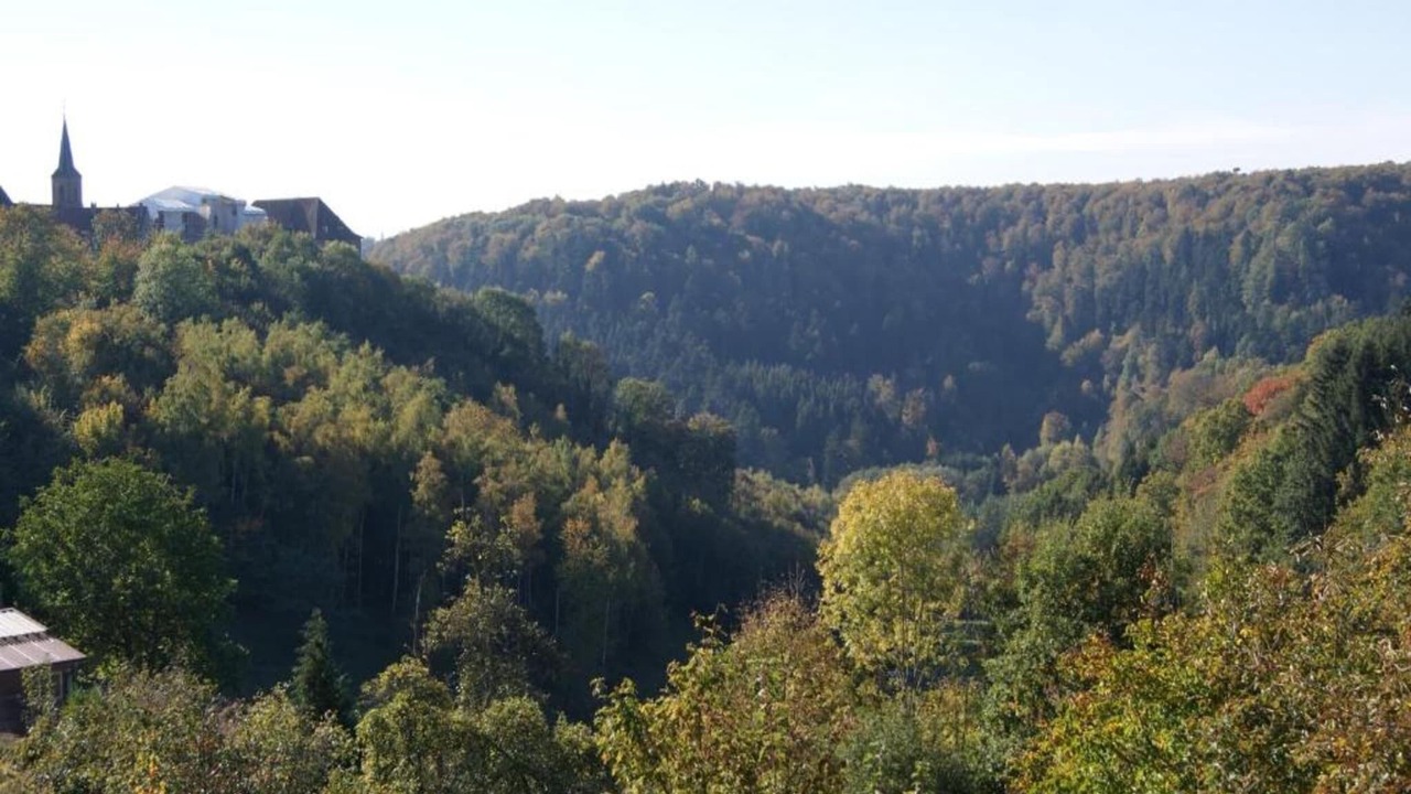 Photo of Others in Phalsbourg