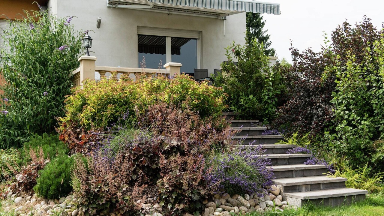 Photo of Outdoor in Phalsbourg
