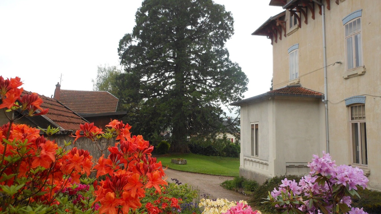 Photo of Outdoor in Vecoux