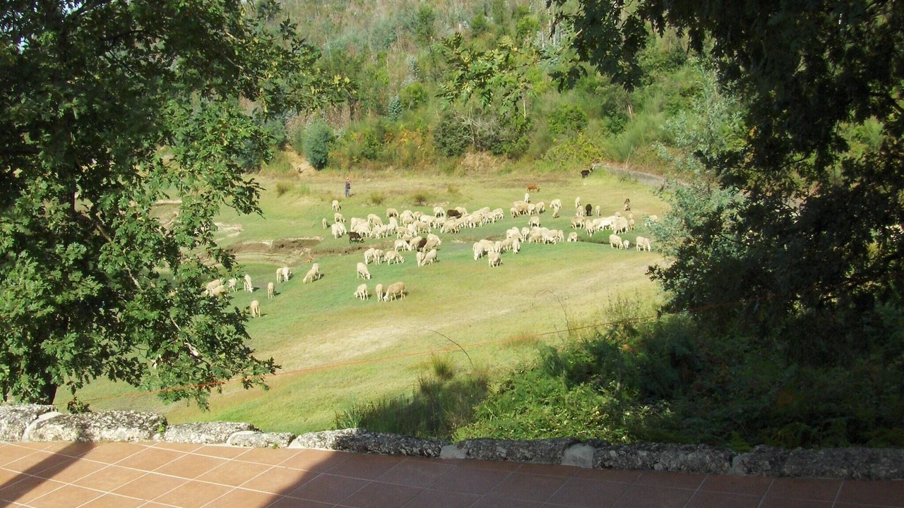 Photo of Others in Santa Comba Dao