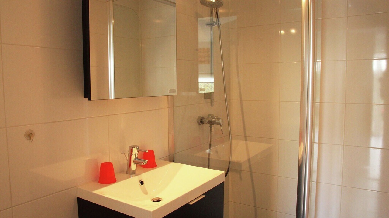 Photo of Bathroom in Langweer