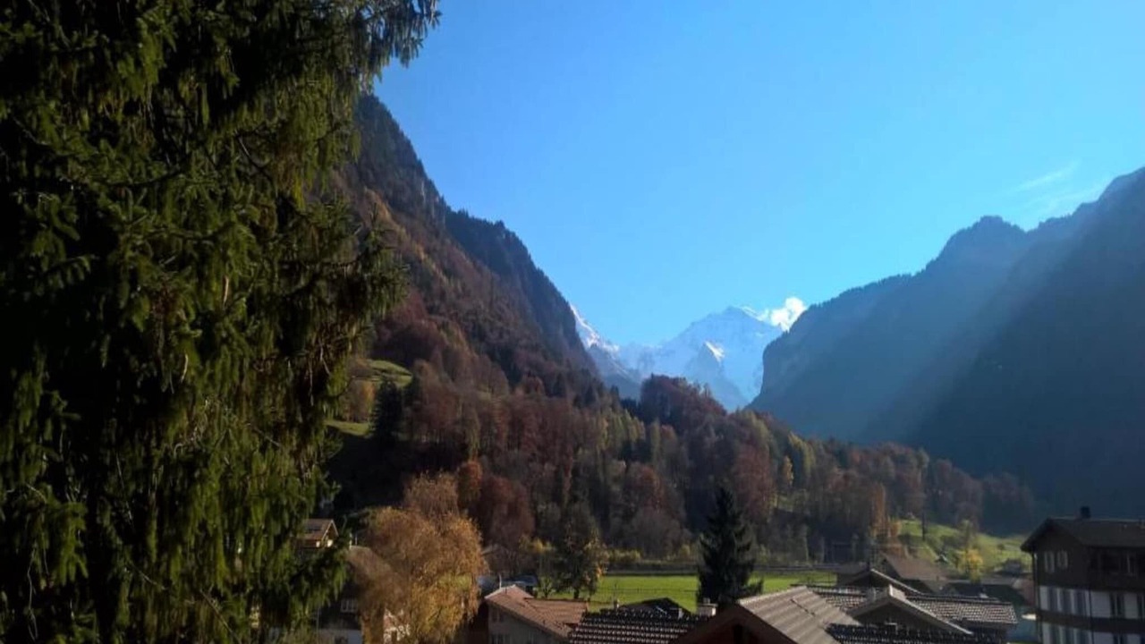 Photo of Others in Wilderswil