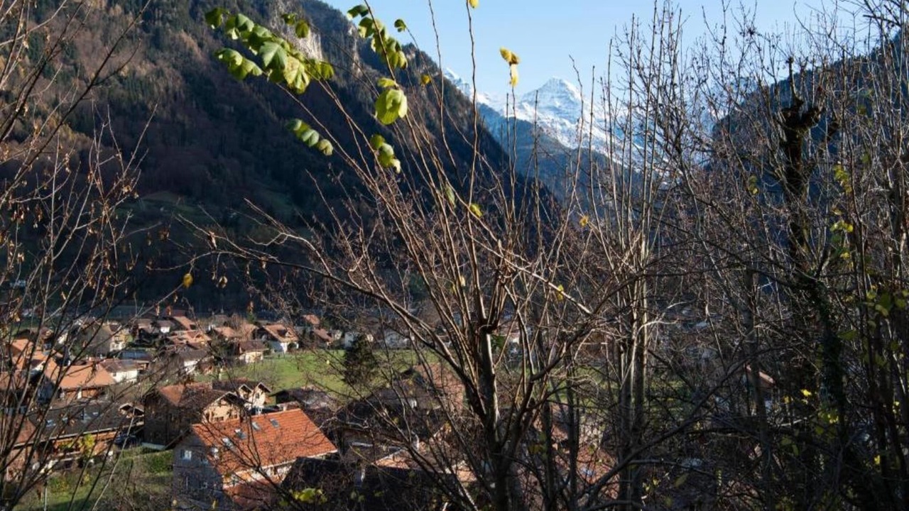 Photo of Others in Wilderswil