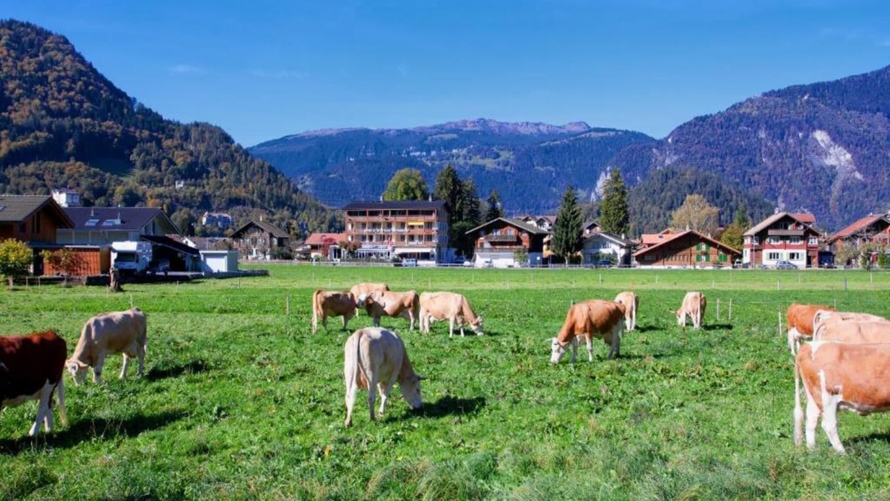 Photo of Others in Wilderswil