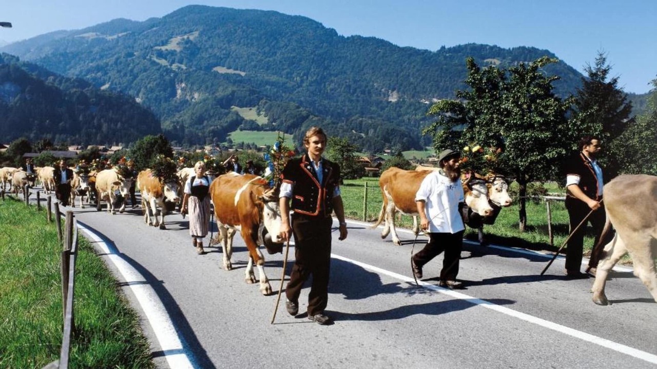 Photo of Others in Wilderswil