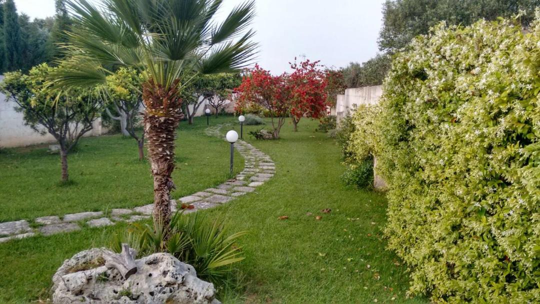 Photo of Outdoor in Trepuzzi
