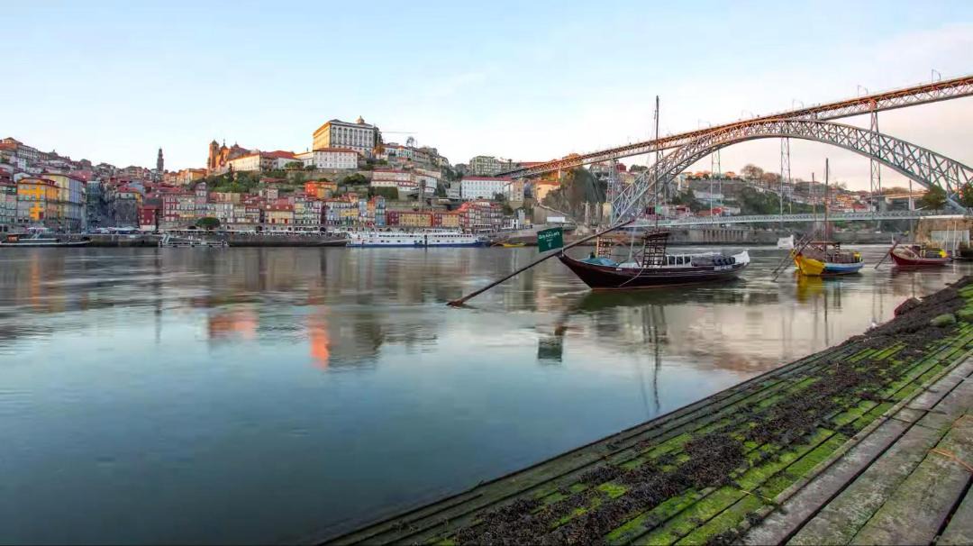 Photo of Others in Leixões