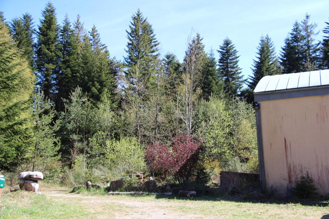 Photo of Others in Chasserades