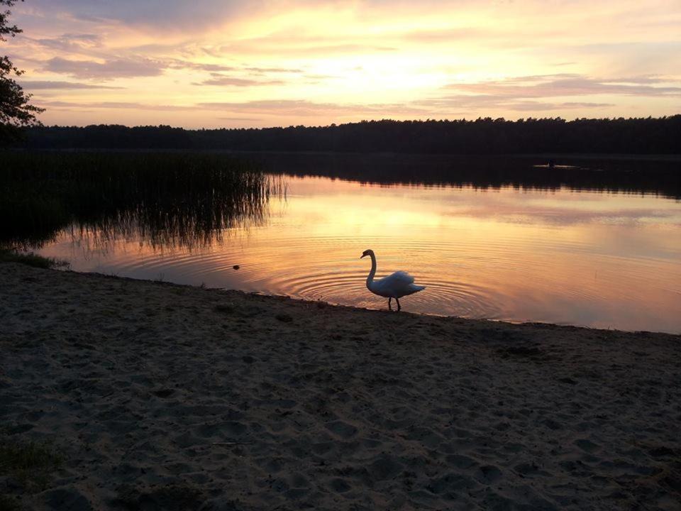 Photo of Outdoor in Wolsztyn
