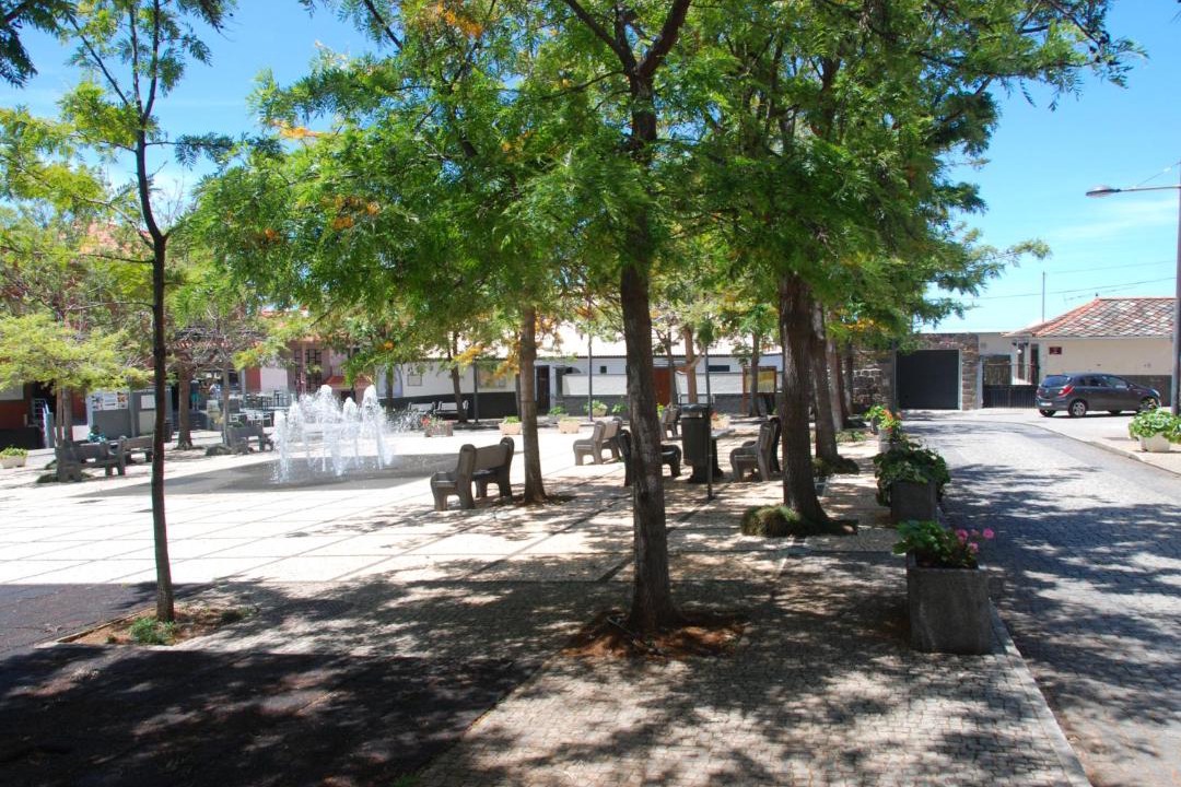 Photo of Others in Jardim do Mar