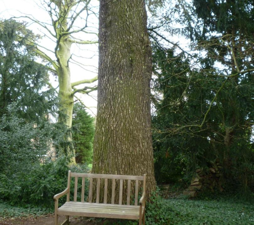 Photo of Others in Mouvaux