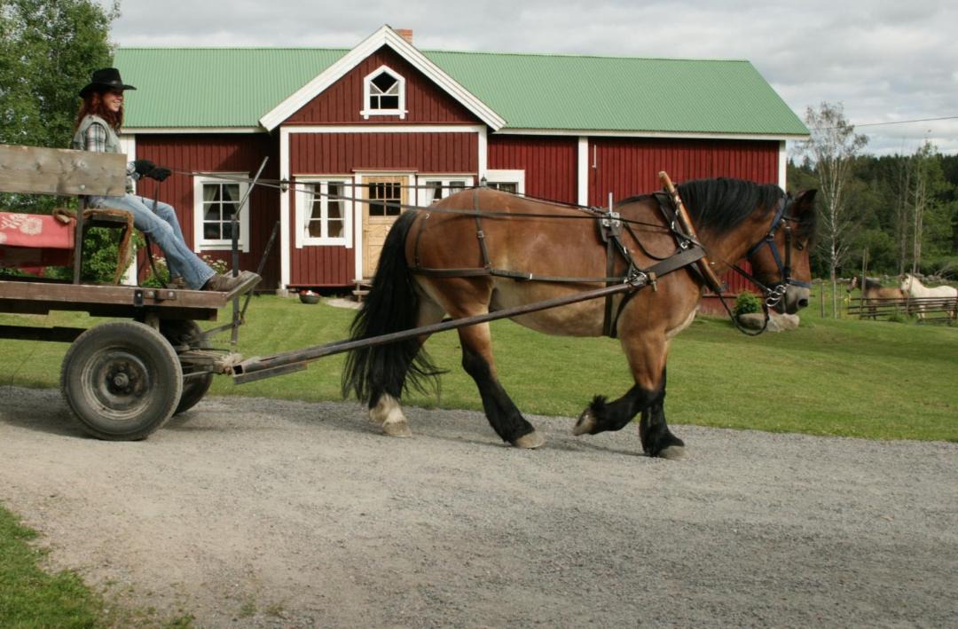 Photo of Others in Ikaalinen