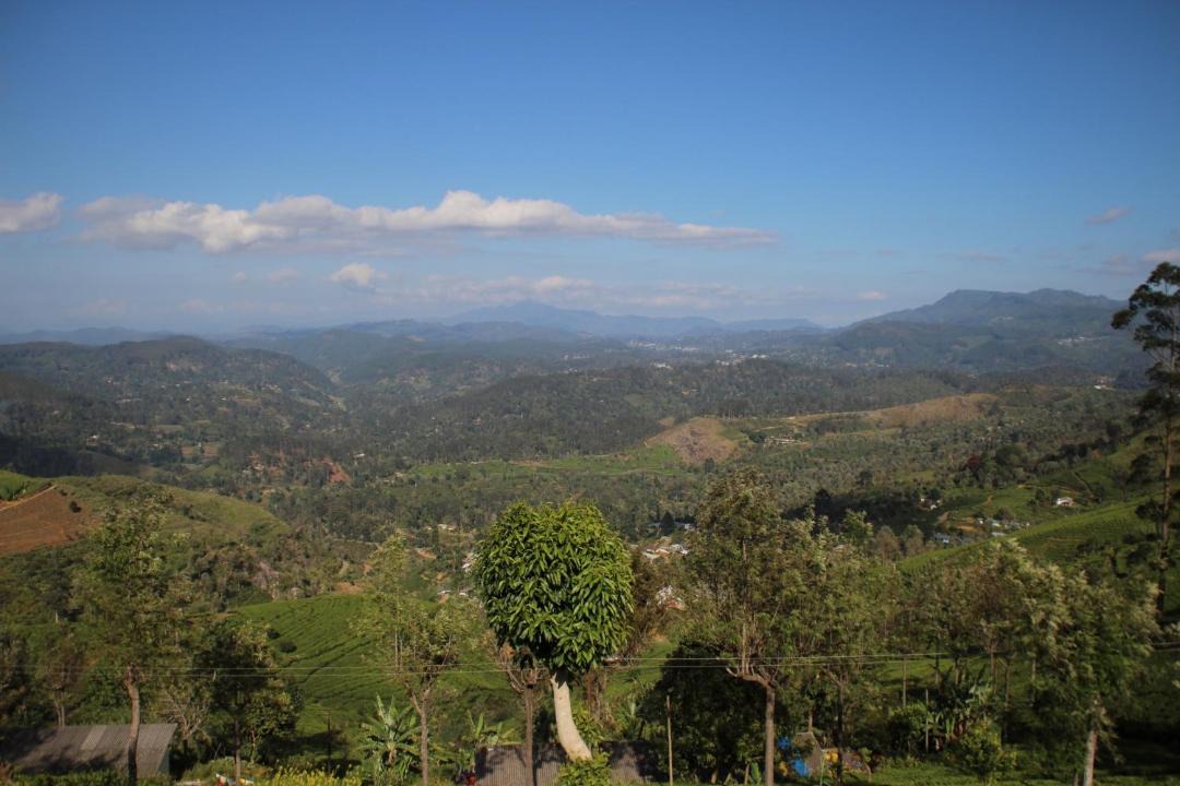 Photo of Outdoor in Welimada