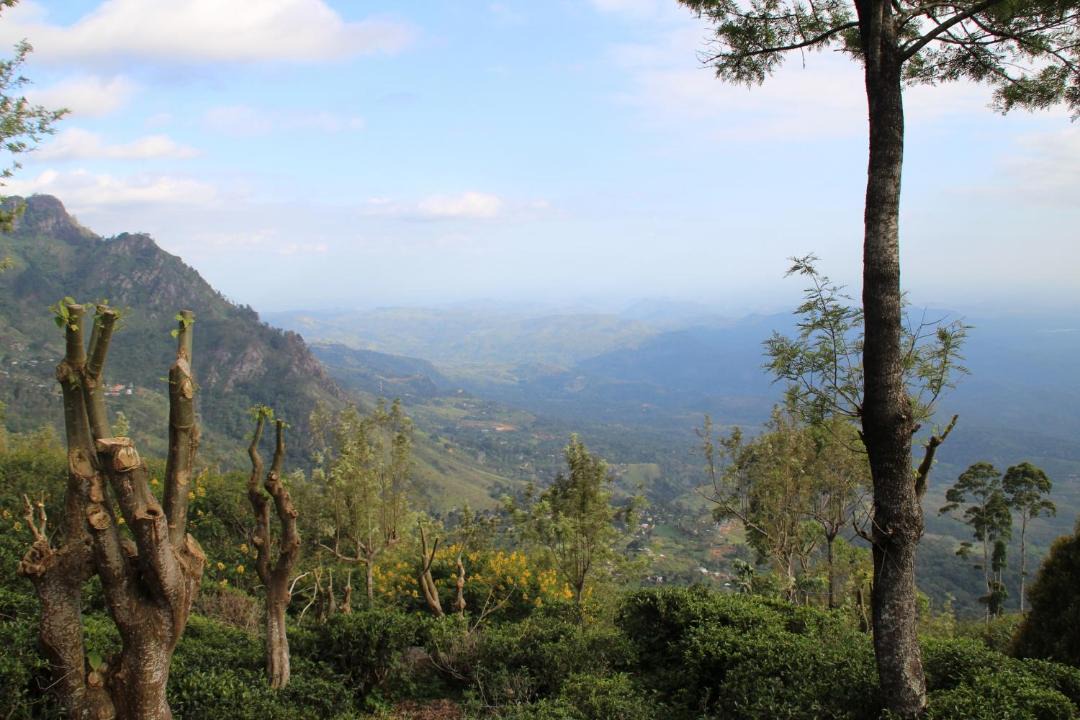 Photo of Outdoor in Welimada
