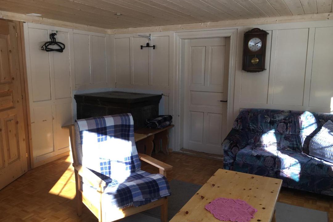 Photo of Livingroom in Tujetsch