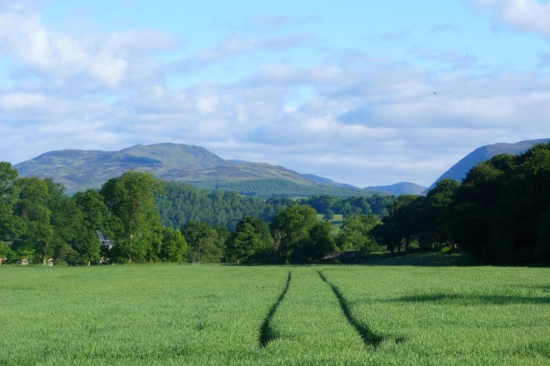 Photo of Outdoor in Crieff