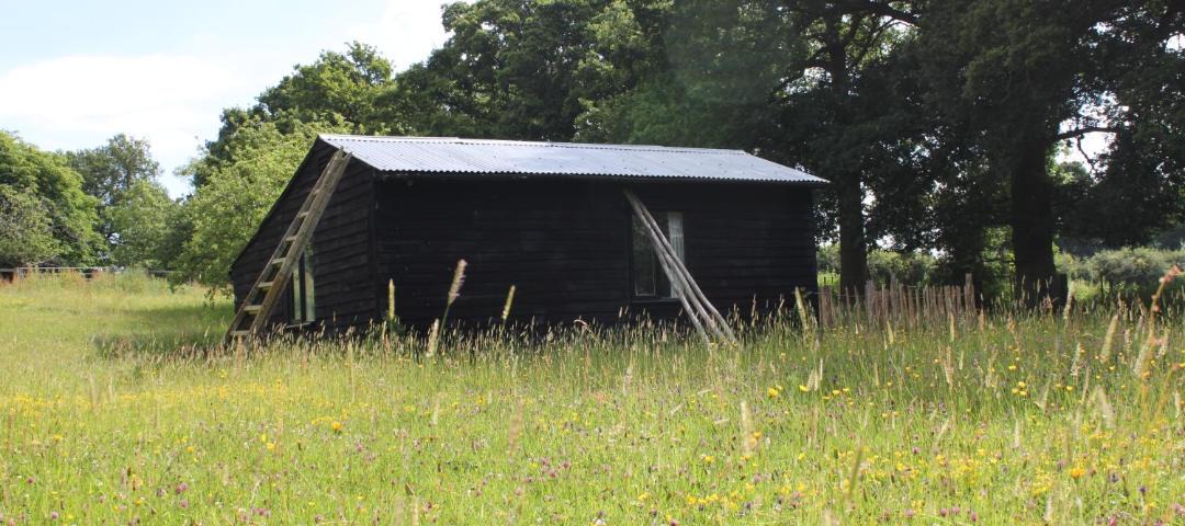 Photo of Others in Bethersden