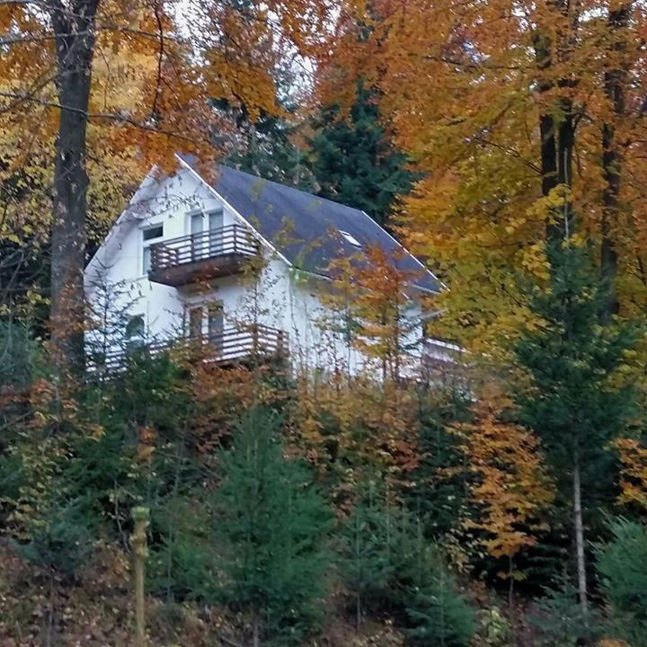 Photo of Others in Sucevita