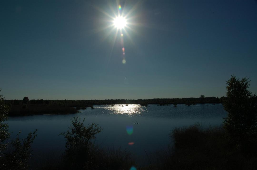 Photo of Others in Weiteveen