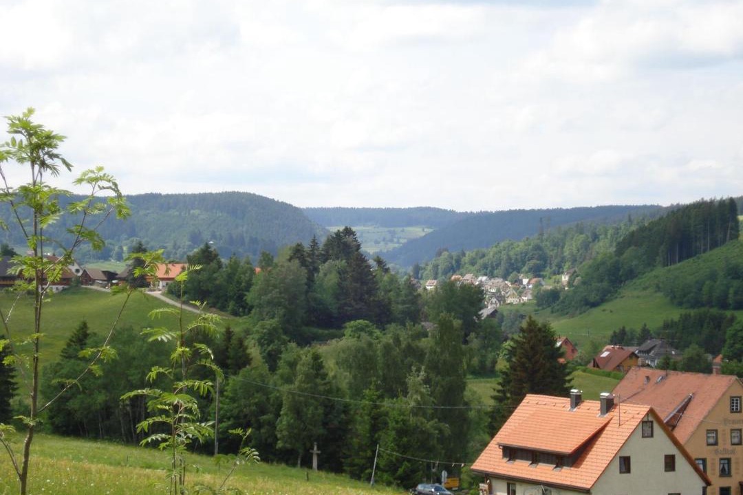 Photo of Others in Lenzkirch